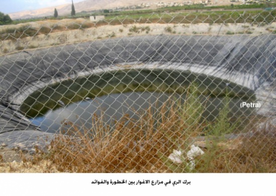 برك الري في مزارع الاغوار بين الخطورة والفوائد